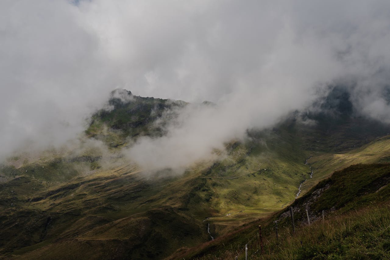 Tarlomaveria hero image